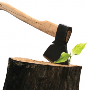 Google Chops PPC Ads and Organic Listings